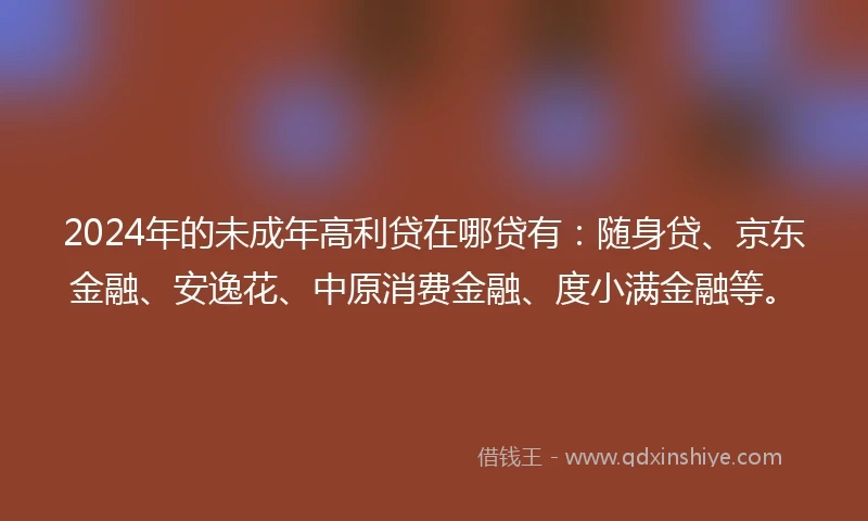 2024年的未成年高利贷在哪贷有：随身贷、京东金融、安逸花、中原消费金融、度小满金融等。