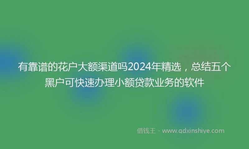 有靠谱的花户大额渠道吗2024年精选，总结五个黑户可快速办理小额贷款业务的软件