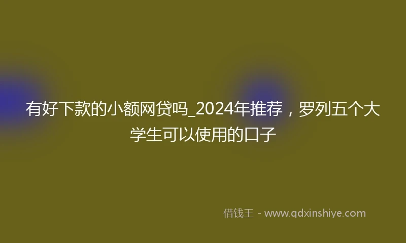 有好下款的小额网贷吗_2024年推荐，罗列五个大学生可以使用的口子