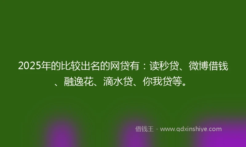 2025年的比较出名的网贷有：读秒贷、微博借钱、融逸花、滴水贷、你我贷等。