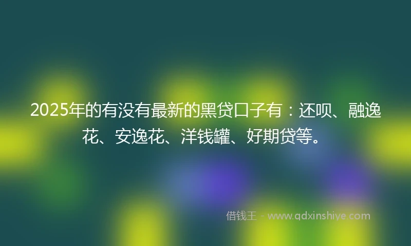 2025年的有没有最新的黑贷口子有：还呗、融逸花、安逸花、洋钱罐、好期贷等。