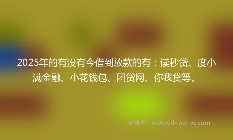 2025年的有没有今借到放款的有：读秒贷、度小满金融、小花钱包、团贷网、你我贷等。