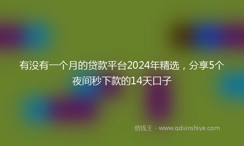 有没有一个月的贷款平台2024年精选，分享5个夜间秒下款的14天口子