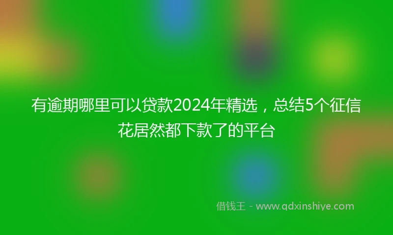 有逾期哪里可以贷款2024年精选，总结5个征信花居然都下款了的平台