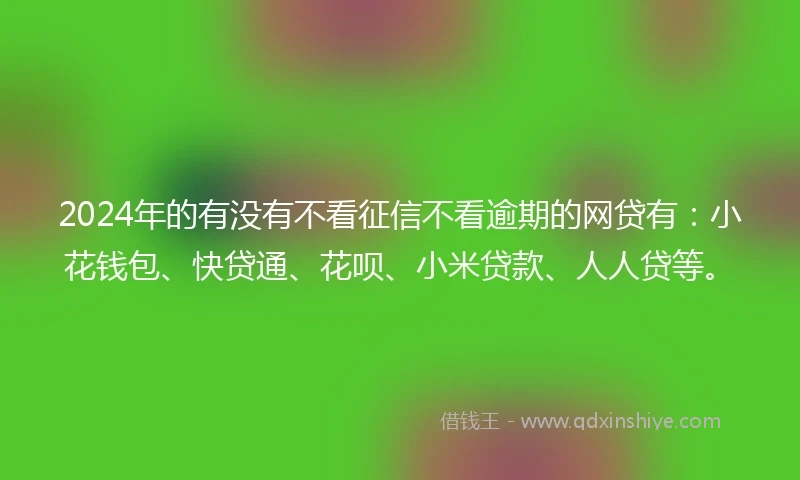 2024年的有没有不看征信不看逾期的网贷有：小花钱包、快贷通、花呗、小米贷款、人人贷等。