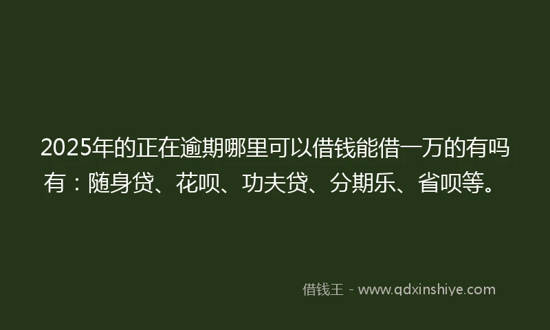 2025年的正在逾期哪里可以借钱能借一万的有吗有：随身贷、花呗、功夫贷、分期乐、省呗等。