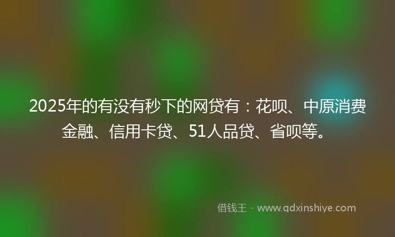 2025年的有没有秒下的网贷有：花呗、中原消费金融、信用卡贷、51人品贷、省呗等。