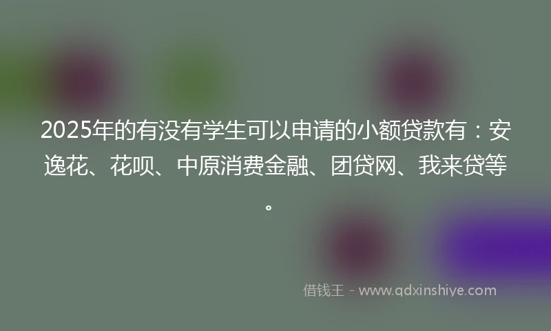 2025年的有没有学生可以申请的小额贷款有：安逸花、花呗、中原消费金融、团贷网、我来贷等。