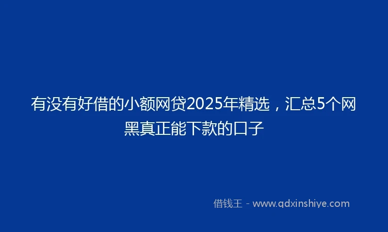 有没有好借的小额网贷2025年精选，汇总5个网黑真正能下款的口子
