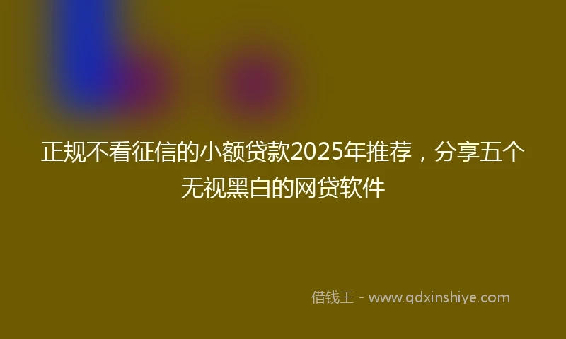 正规不看征信的小额贷款2025年推荐，分享五个无视黑白的网贷软件