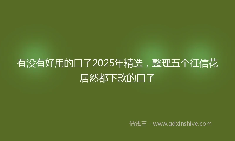 有没有好用的口子2025年精选，整理五个征信花居然都下款的口子