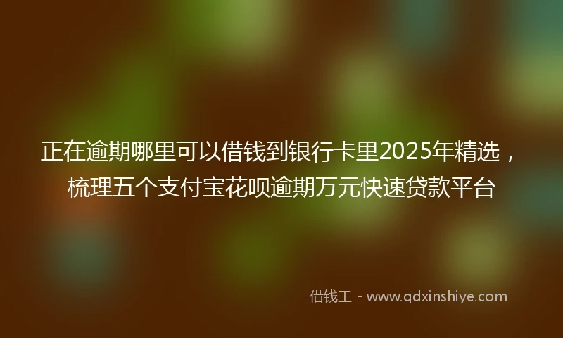 正在逾期哪里可以借钱到银行卡里2025年精选，梳理五个支付宝花呗逾期万元快速贷款平台