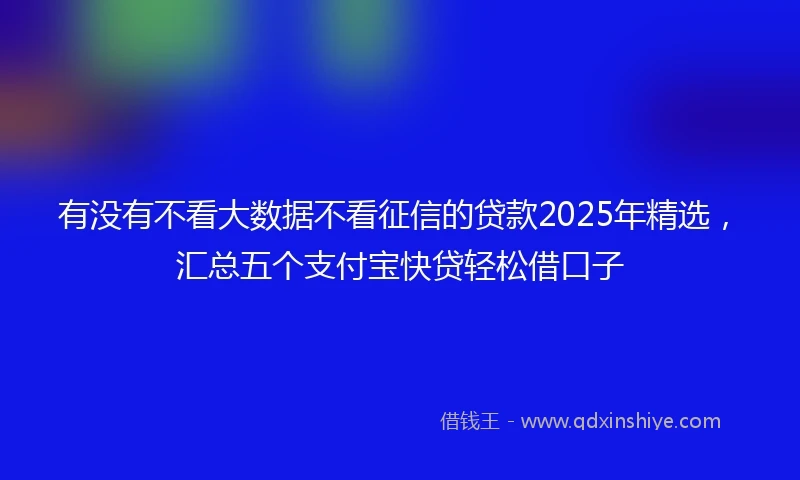 有没有不看大数据不看征信的贷款2025年精选，汇总五个支付宝快贷轻松借口子