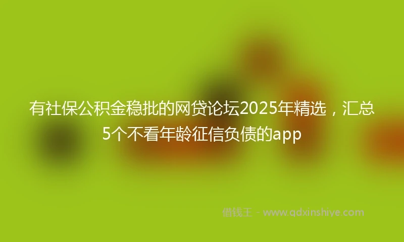 有社保公积金稳批的网贷论坛2025年精选，汇总5个不看年龄征信负债的app