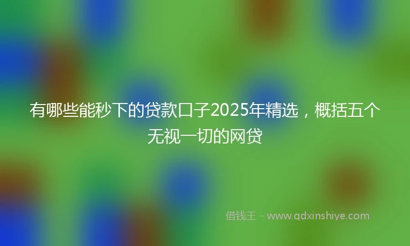 有哪些能秒下的贷款口子2025年精选，概括五个无视一切的网贷