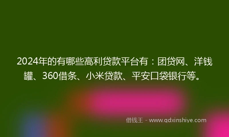2024年的有哪些高利贷款平台有：团贷网、洋钱罐、360借条、小米贷款、平安口袋银行等。