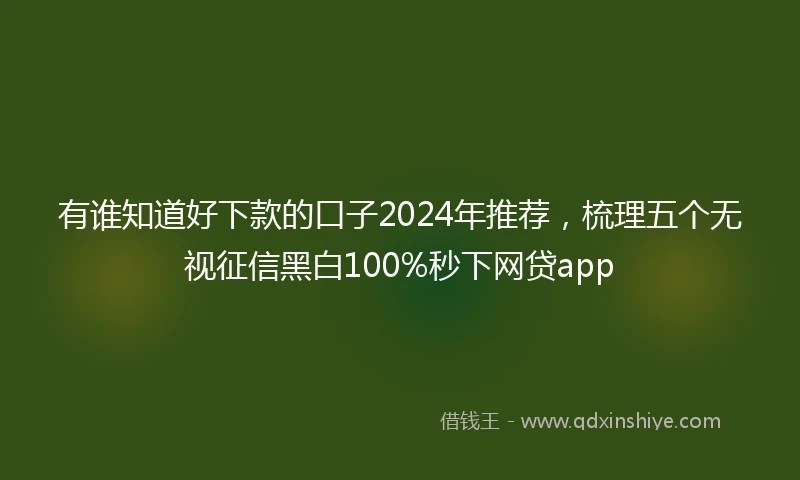 有谁知道好下款的口子2024年推荐，梳理五个无视征信黑白100%秒下网贷app