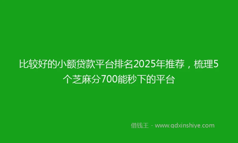 比较好的小额贷款平台排名2025年推荐，梳理5个芝麻分700能秒下的平台