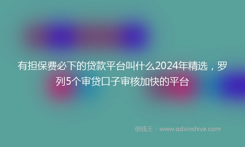 有担保费必下的贷款平台叫什么2024年精选，罗列5个审贷口子审核加快的平台
