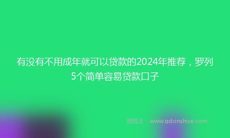 有没有不用成年就可以贷款的2024年推荐，罗列5个简单容易贷款口子