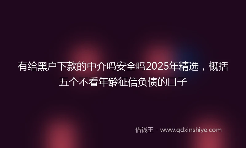 有给黑户下款的中介吗安全吗2025年精选，概括五个不看年龄征信负债的口子