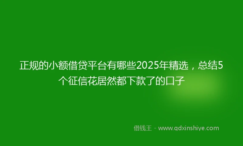 正规的小额借贷平台有哪些2025年精选，总结5个征信花居然都下款了的口子