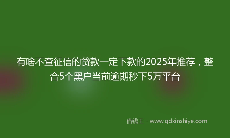 有啥不查征信的贷款一定下款的2025年推荐，整合5个黑户当前逾期秒下5万平台