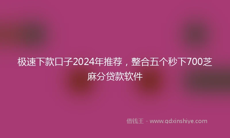 极速下款口子2024年推荐，整合五个秒下700芝麻分贷款软件