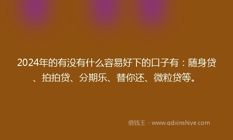 2024年的有没有什么容易好下的口子有：随身贷、拍拍贷、分期乐、替你还、微粒贷等。