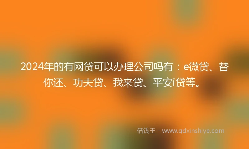 2024年的有网贷可以办理公司吗有：e微贷、替你还、功夫贷、我来贷、平安i贷等。