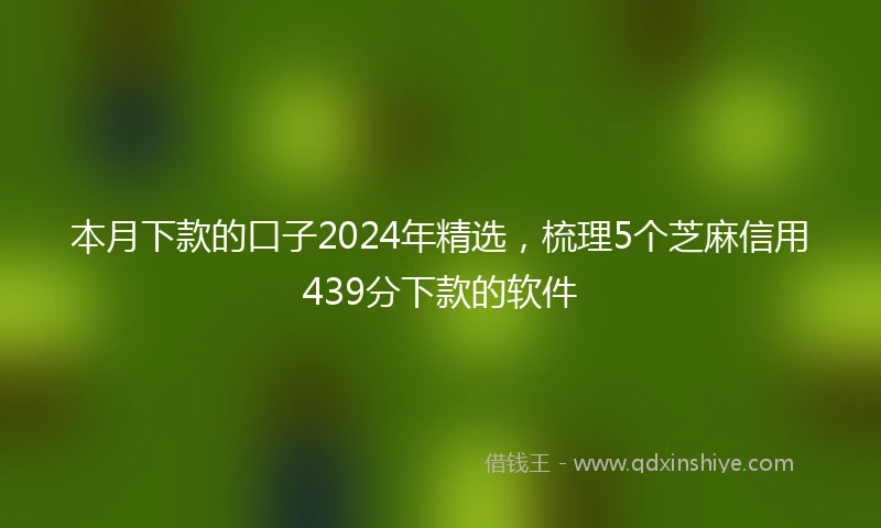 本月下款的口子2024年精选，梳理5个芝麻信用439分下款的软件