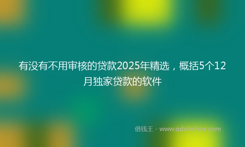 有没有不用审核的贷款2025年精选，概括5个12月独家贷款的软件