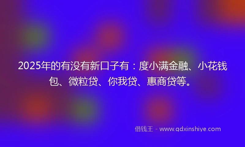 2025年的有没有新口子有：度小满金融、小花钱包、微粒贷、你我贷、惠商贷等。