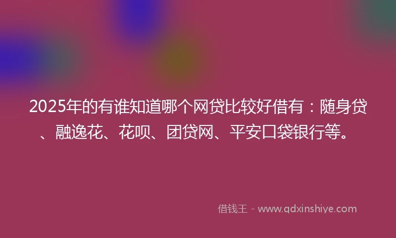 2025年的有谁知道哪个网贷比较好借有：随身贷、融逸花、花呗、团贷网、平安口袋银行等。