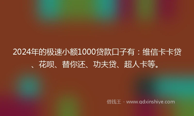 2024年的极速小额1000贷款口子有:维信卡卡贷、花呗、替你还、功夫贷、超人卡等。