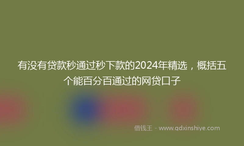 有没有贷款秒通过秒下款的2024年精选，概括五个能百分百通过的网贷口子