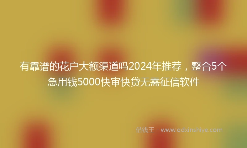 有靠谱的花户大额渠道吗2024年推荐，整合5个急用钱5000快审快贷无需征信软件
