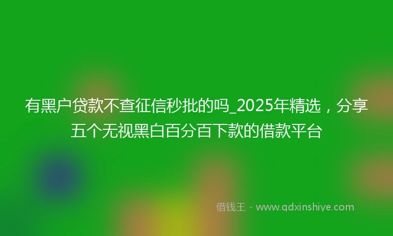 有黑户贷款不查征信秒批的吗_2025年精选，分享五个无视黑白百分百下款的借款平台
