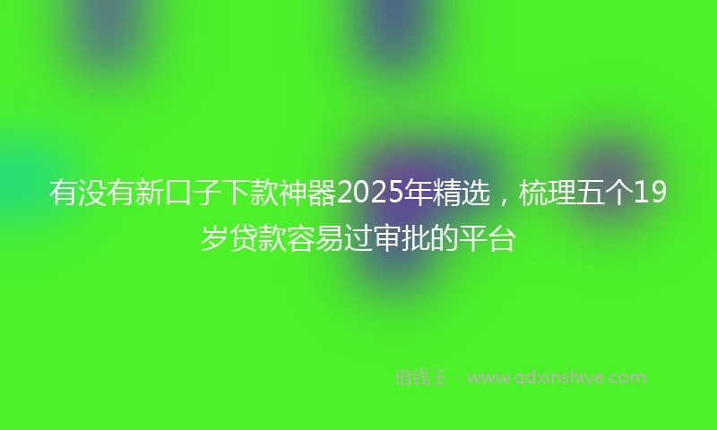 有没有新口子下款神器2025年精选，梳理五个19岁贷款容易过审批的平台