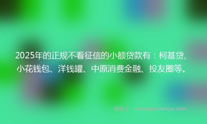 2025年的正规不看征信的小额贷款有：柯基贷、小花钱包、洋钱罐、中原消费金融、投友圈等。