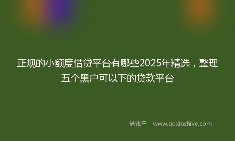 正规的小额度借贷平台有哪些2025年精选，整理五个黑户可以下的贷款平台
