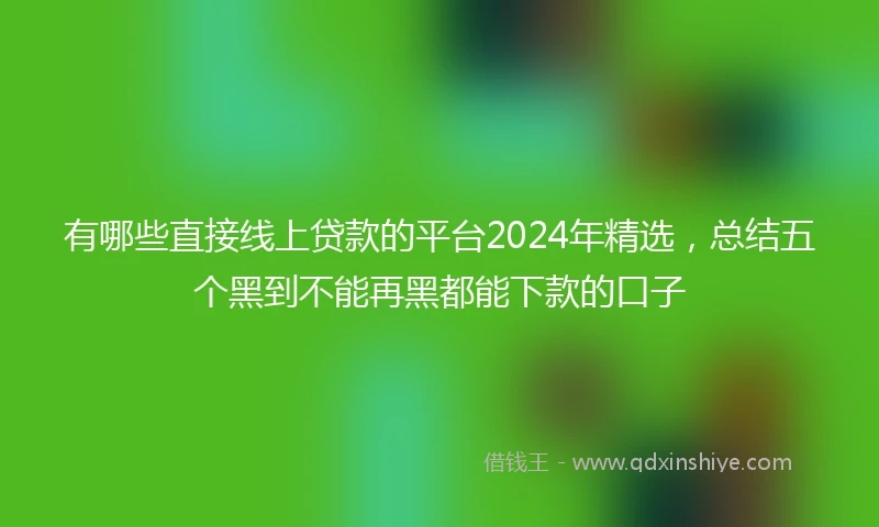 有哪些直接线上贷款的平台2024年精选，总结五个黑到不能再黑都能下款的口子