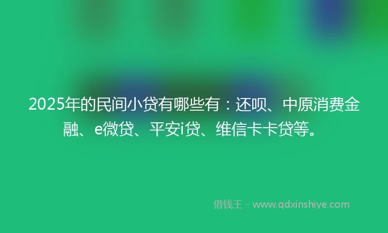2025年的民间小贷有哪些有：还呗、中原消费金融、e微贷、平安i贷、维信卡卡贷等。