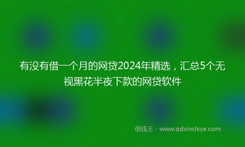 有没有借一个月的网贷2024年精选，汇总5个无视黑花半夜下款的网贷软件