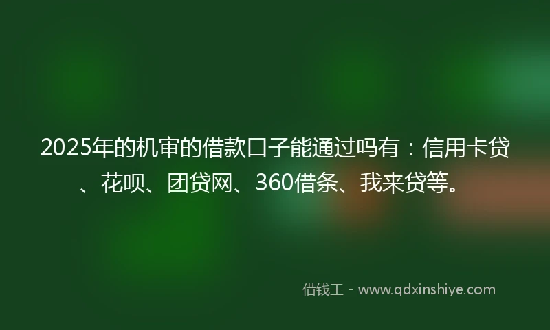 2025年的机审的借款口子能通过吗有：信用卡贷、花呗、团贷网、360借条、我来贷等。