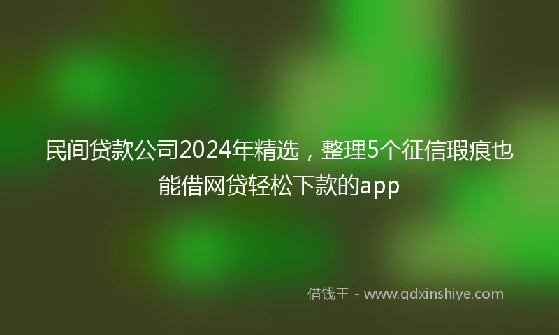 民间贷款公司2024年精选，整理5个征信瑕疵也能借网贷轻松下款的app