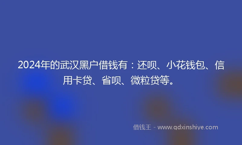 2024年的武汉黑户借钱有：还呗、小花钱包、信用卡贷、省呗、微粒贷等。