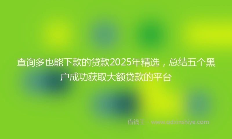 查询多也能下款的贷款2025年精选，总结五个黑户成功获取大额贷款的平台