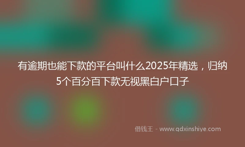 有逾期也能下款的平台叫什么2025年精选，归纳5个百分百下款无视黑白户口子