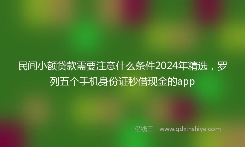 民间小额贷款需要注意什么条件2024年精选，罗列五个手机身份证秒借现金的app
